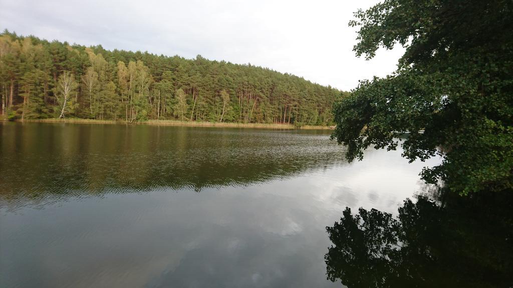 Fitnessfun Bed and Breakfast Krzyż Eksteriør billede
